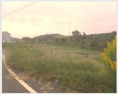  2025Ÿ��970  ����