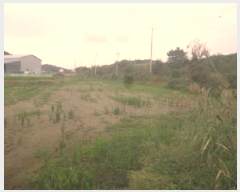  2025Ÿ��970  ����