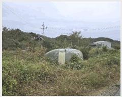  2025Ÿ��970  ����