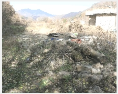  2025Ÿ��1019  ���ð��