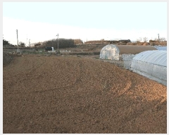  2025Ÿ��1032 ���� ������ �󵿵� 236-16       ����(��1)���