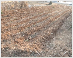  2025Ÿ��1032 ���� ������ �󵿵� 236-16       ����(��1)���