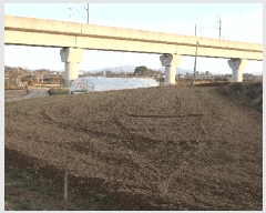  2025Ÿ��1032 ���� ������ �󵿵� 236-16       ����(��1)���