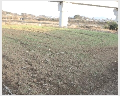  2025Ÿ��1032 ���� ������ �󵿵� 236-16       ����(��1)���