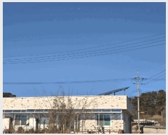  2025Ÿ��1090 ���� ������ Ȳ�굿 54-47       ����(��)���