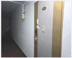  2025Ÿ��30913  �ٰ������ð��