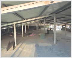  2025Ÿ��30913  �ٰ������ð��