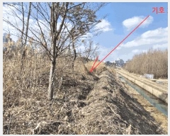  2025Ÿ��30935 ���� ���ֽ� ������ ���ǵ�2�� 516-1      ����(��1)���