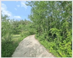  2025Ÿ31004  ȱ   52      (Ӿ)