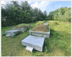  2025Ÿ31004  ȱ   52      (Ӿ)