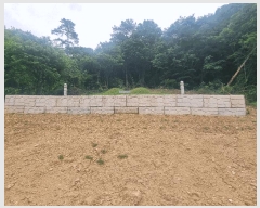  2025Ÿ31004  ȱ   52      (Ӿ)