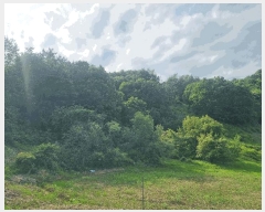  2025Ÿ31004  ȱ   52      (Ӿ)