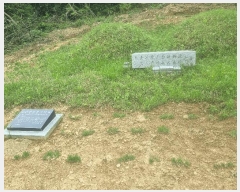  2025Ÿ31004  ȱ   52      (Ӿ)