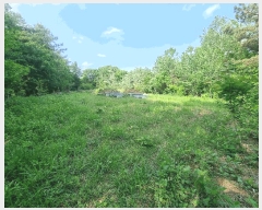  2025Ÿ31004  ȱ   52      (Ӿ)