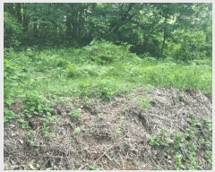  2025Ÿ31004  ȱ   52      (Ӿ)