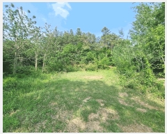  2025Ÿ31004  ȱ   52      (Ӿ)