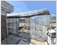  2025Ÿ31064  ֽ  õ1 369-1      ð