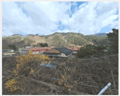  2025Ÿ31083  ֱ ȼ ⸮ 1930      