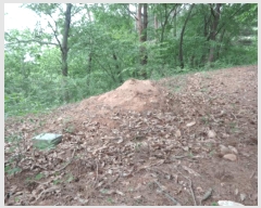  2025Ÿ31133   ݻ û 221      (Ӿ)