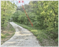  2025Ÿ31146  ֱ Ҿ ؿ 72      ()