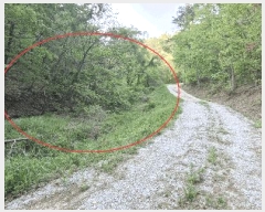  2025Ÿ31146  ֱ Ҿ ؿ 72      ()