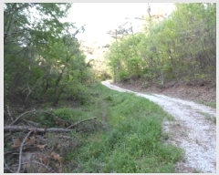  2025Ÿ31146  ֱ Ҿ ؿ 72      ()