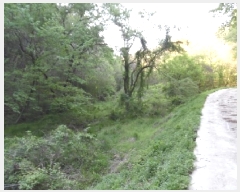  2025Ÿ31146  ֱ Ҿ ؿ 72      ()