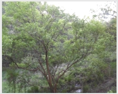  2025Ÿ31146  ֱ Ҿ ؿ 72      ()