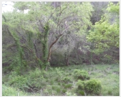  2025Ÿ31146  ֱ Ҿ ؿ 72      ()