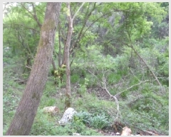  2025Ÿ31146  ֱ Ҿ ؿ 72      ()