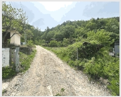  2025Ÿ��31153 ���� ���ֱ� ��õ�� û���� 1201-2      ���ð��