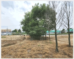  2025Ÿ��31210 ���� ���ֱ� ������ �� 196-2      ����(��)���