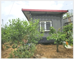  2025Ÿ��31210 ���� ���ֱ� ������ �� 196-2      ����(��)���