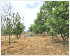  2025Ÿ��31210 ���� ���ֱ� ������ �� 196-2      ����(��)���