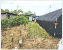  2025Ÿ��31210 ���� ���ֱ� ������ �� 196-2      ����(��)���