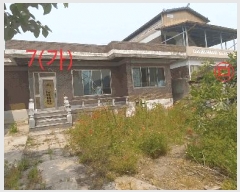  2025Ÿ��31250  ���ð��