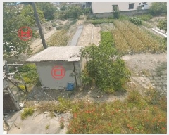  2025Ÿ��31250  ���ð��