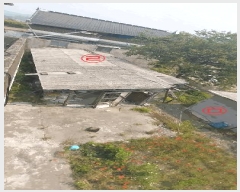  2025Ÿ��31250  ���ð��