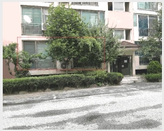  2025Ÿ��31371  ����Ʈ���