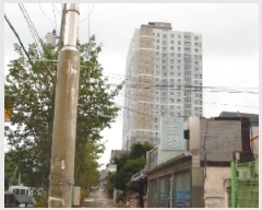  2025Ÿ��31451  ����Ʈ���