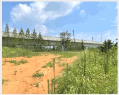  2025Ÿ��31462 ���� ������ Ȳ�굿 226-1       ����(�Ӿ�)���