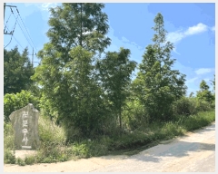  2025Ÿ��31462 ���� ������ Ȳ�굿 226-1       ����(�Ӿ�)���