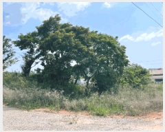  2025Ÿ��31462 ���� ������ Ȳ�굿 226-1       ����(�Ӿ�)���