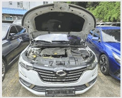  2025Ÿ31483  ֽ   17,      