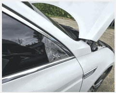  2025Ÿ31483  ֽ   17,      