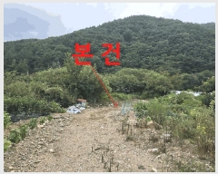  2025Ÿ��31561 ���� ���ֱ� ��ǳ�� ��Ÿ� 290-2      ����(��)���