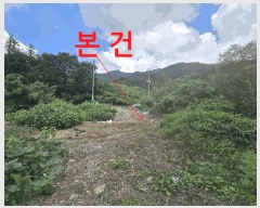  2025Ÿ��31561 ���� ���ֱ� ��ǳ�� ��Ÿ� 290-2      ����(��)���