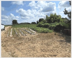  2025Ÿ��31576 ���� ������ ������ �ͷ渮 226      ����(��1)���