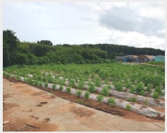  2025Ÿ��31576 ���� ������ ������ �ͷ渮 226      ����(��1)���