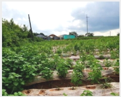  2025Ÿ��31576 ���� ������ ������ �ͷ渮 226      ����(��1)���